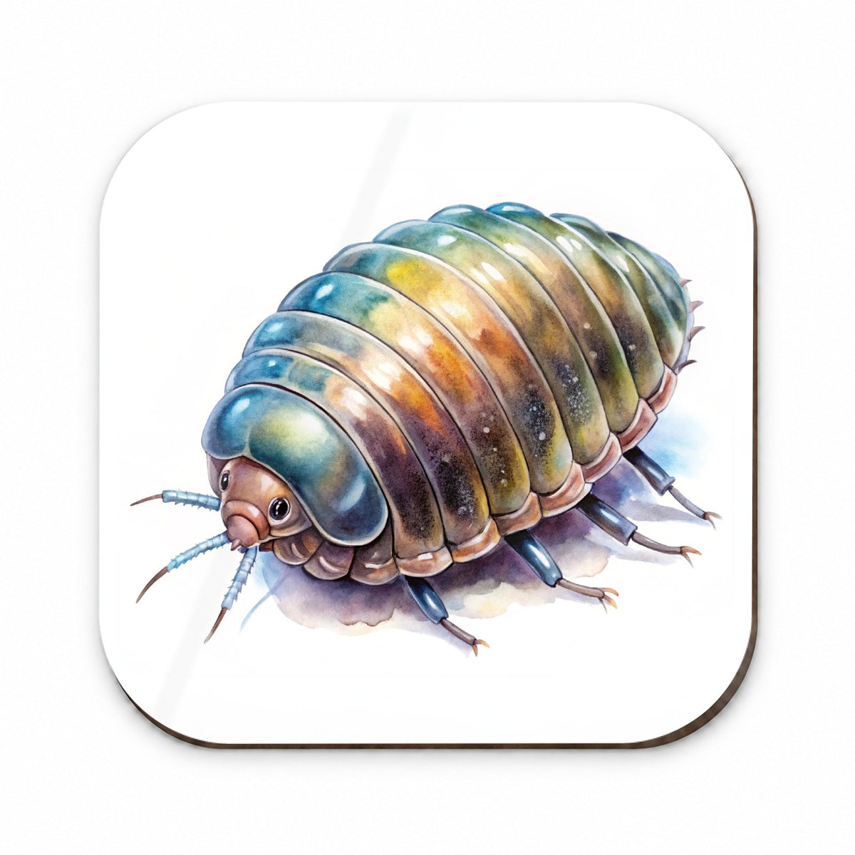 Pill Bug Watercolor Fridge Magnet
