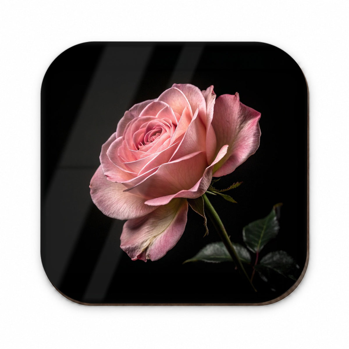 Pink Rose Fridge Magnet