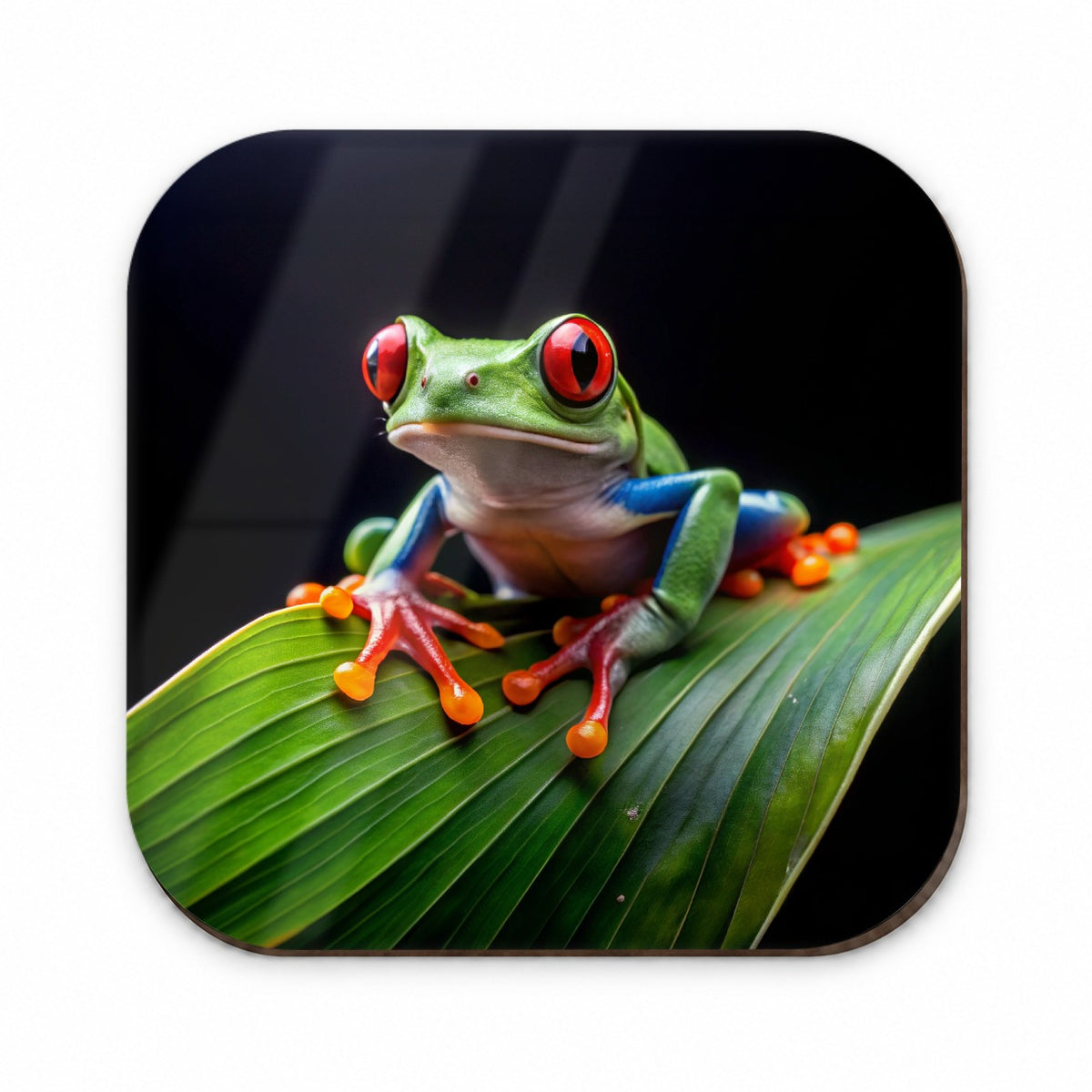 Red Eyed Tree Frog On Leaf Fridge Magnet