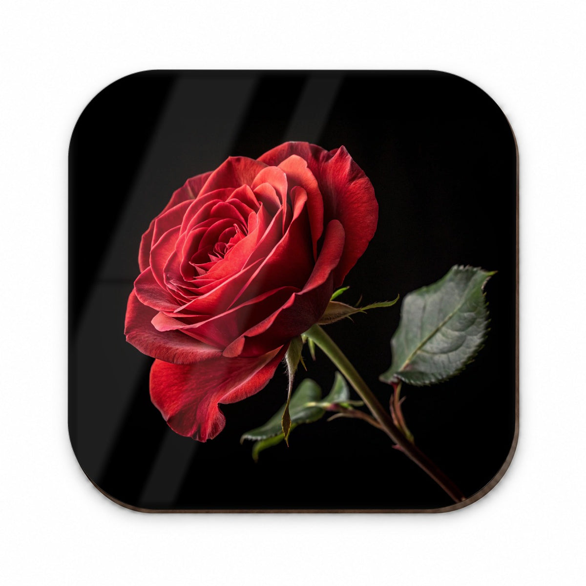 Red Rose On Black Background Fridge Magnet