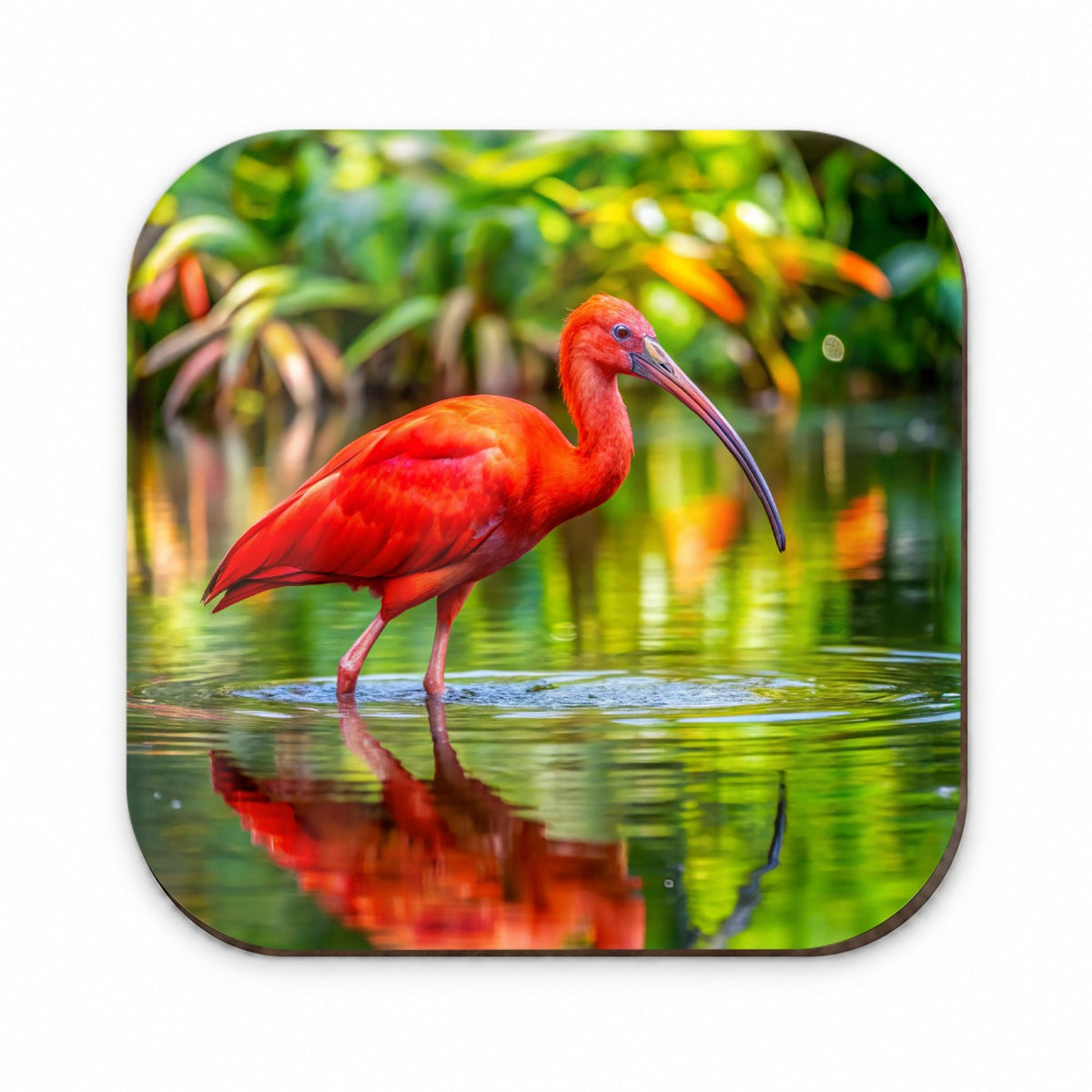 Scarlet Red Ibis Tropical Bird Fridge Magnet