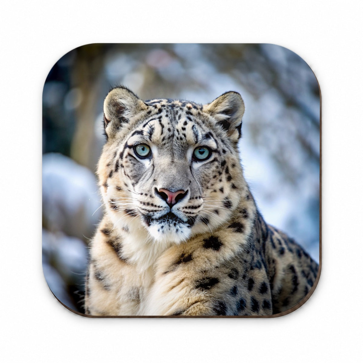 Snow Leopard Fridge Magnet