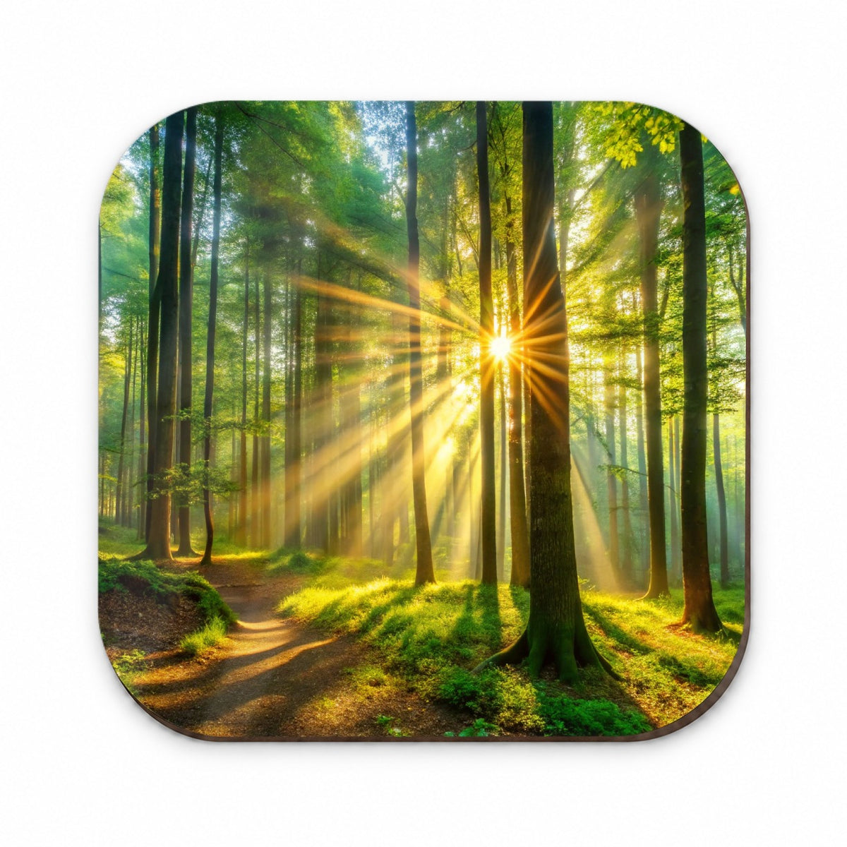 Sunlight Streaming Through Forest Trees Fridge Magnet