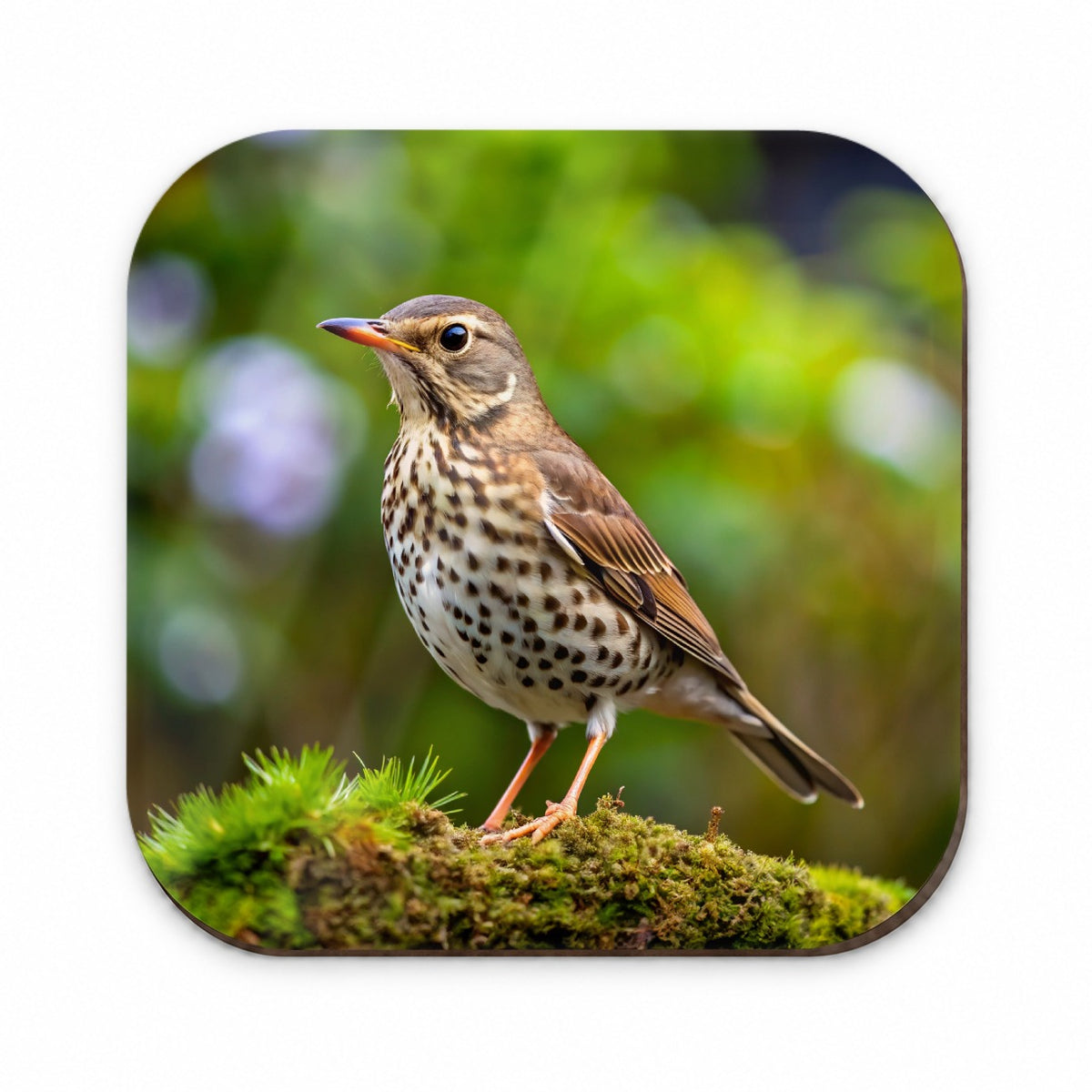 Thrush Bird Backyard Bird Fridge Magnet