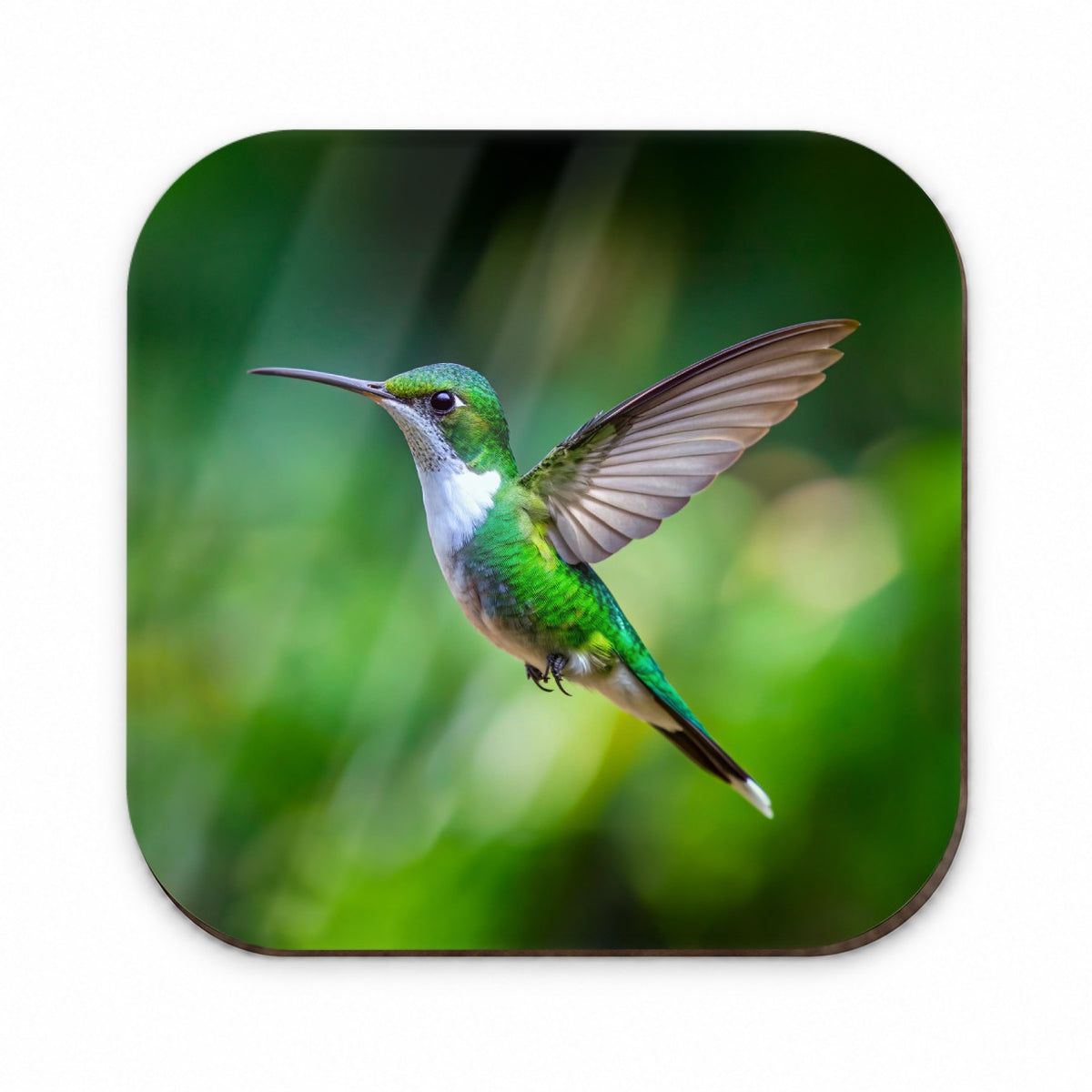 White Chested Emerald Hummingbird Backyard Bird Fridge Magnet