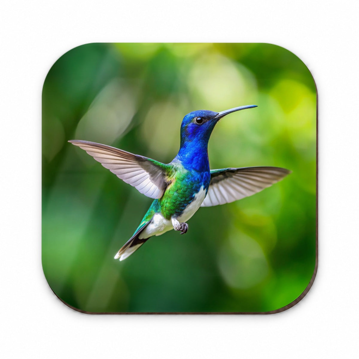 White Necked Jacobin Hummingbird Backyard Bird Fridge Magnet