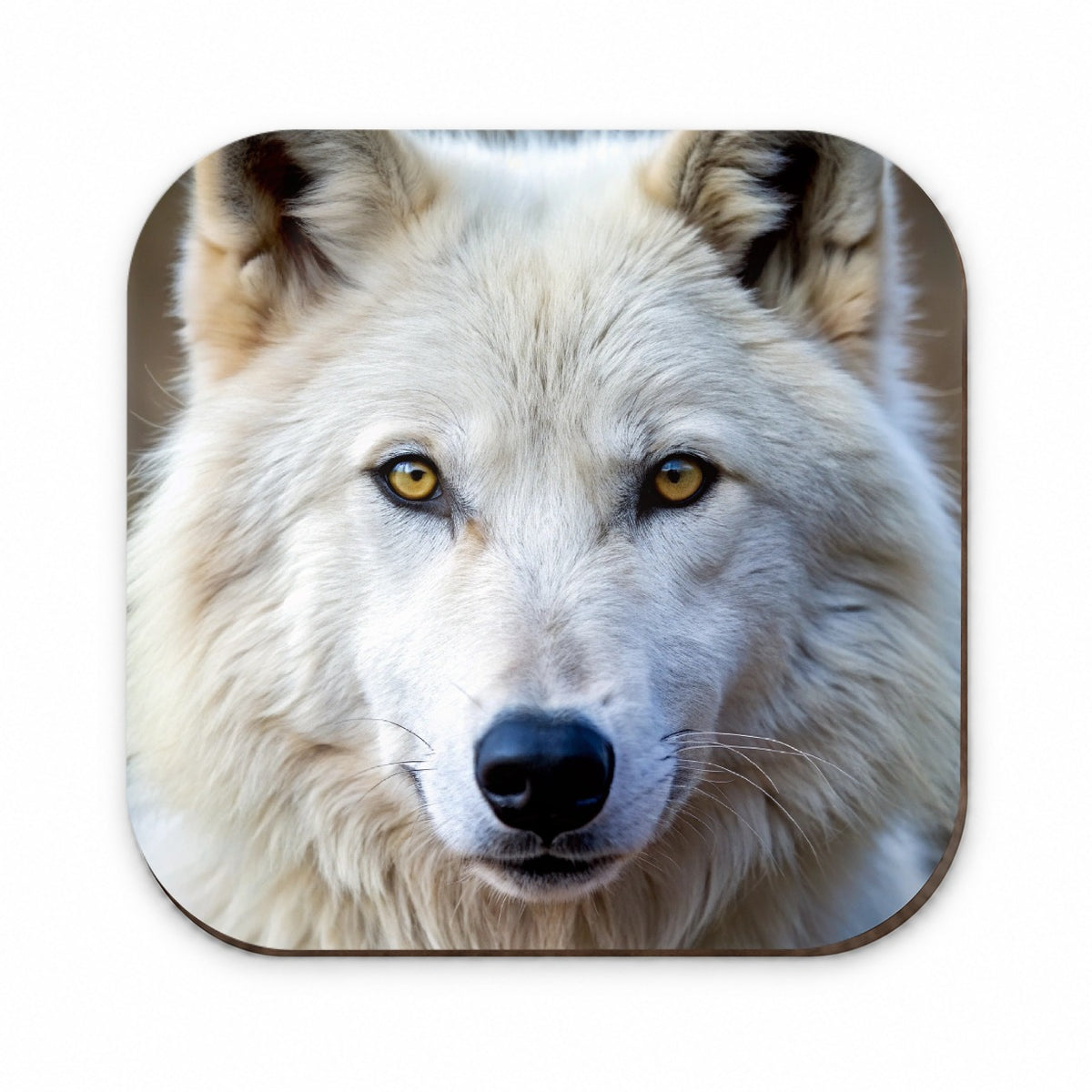 White Wolf Fridge Magnet