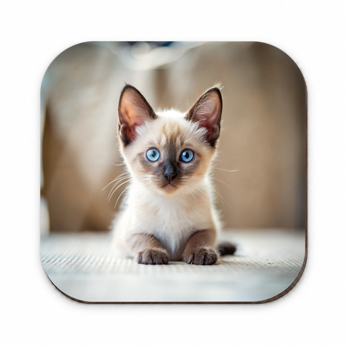 Siamese Cat Kitten Photo Fridge Magnet