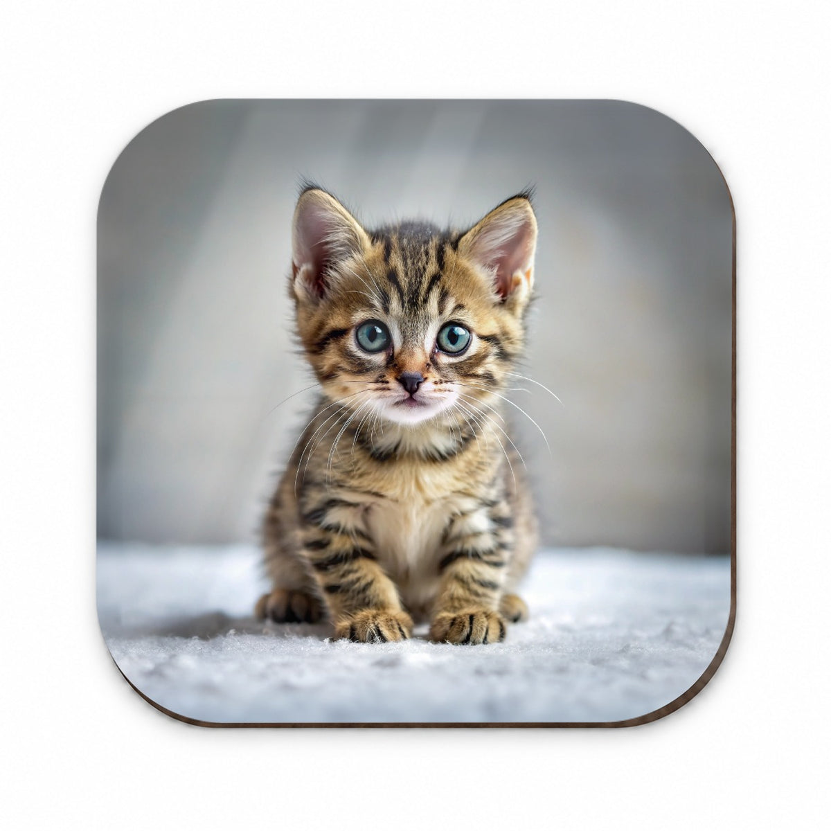 Tabby Cat Kitten Photo Fridge Magnet
