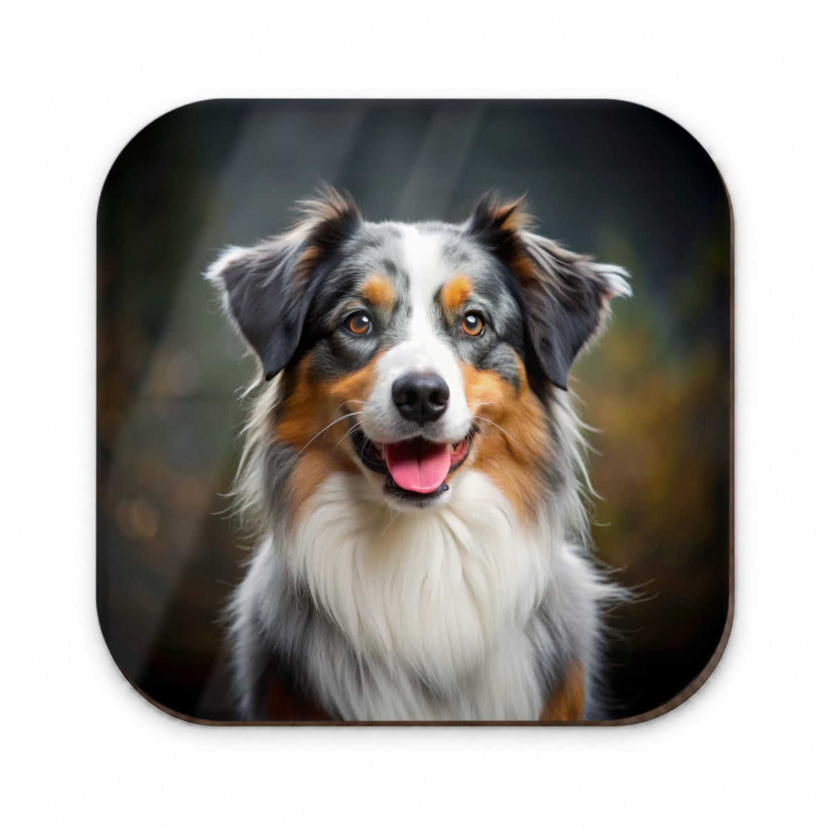 Australian Shepherd Dog Photo Fridge Magnet