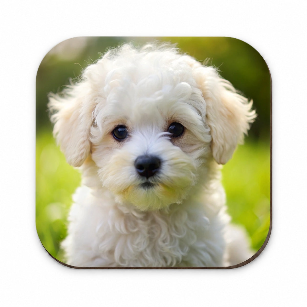 Bichon Frise Dog Puppy Photo Fridge Magnet