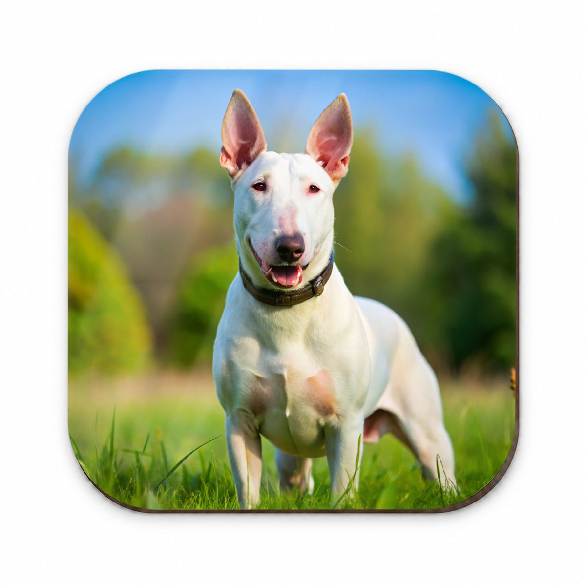 Bull Terrier Dog Photo Fridge Magnet
