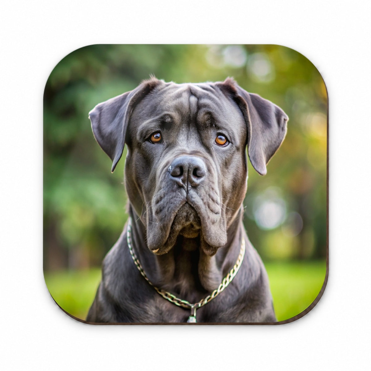 Cane Corso Dog Photo Fridge Magnet