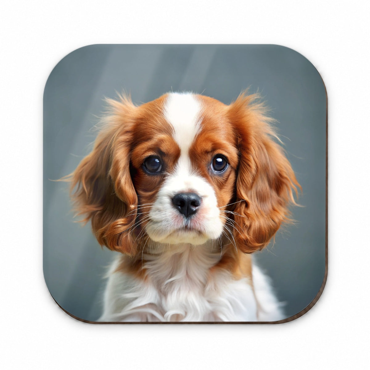 Cavalier King Charles Spaniel Dog Puppy Photo Fridge Magnet