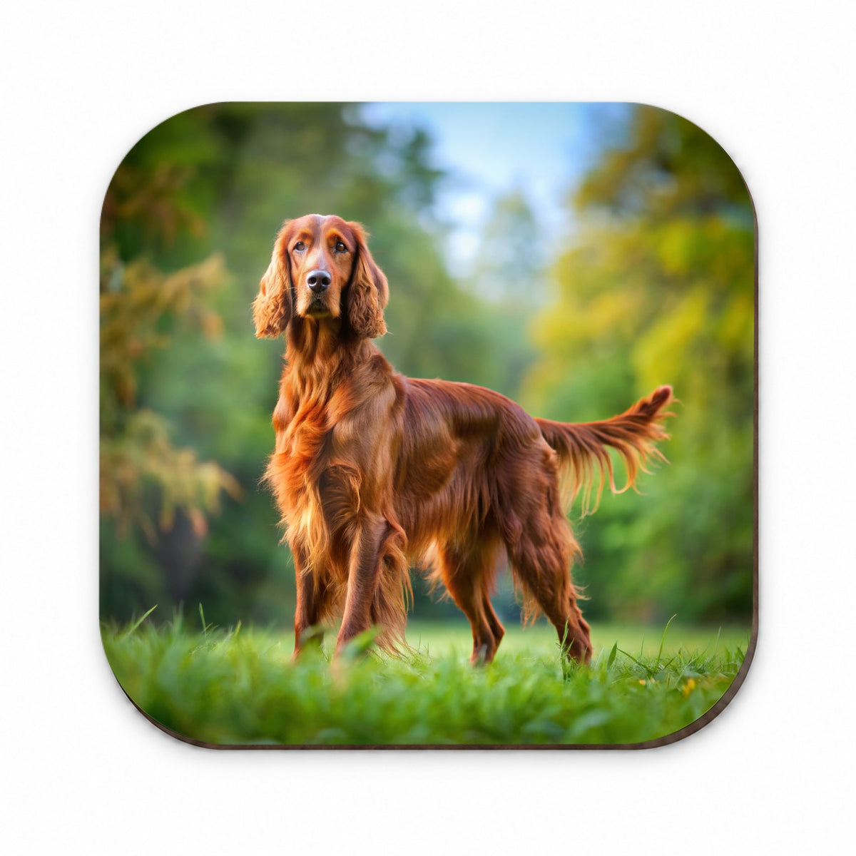 Irish Setter Dog Photo Fridge Magnet