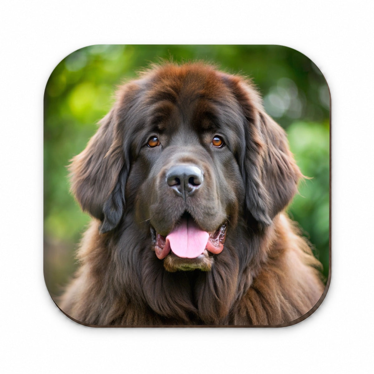 Newfoundland Dog Photo Fridge Magnet