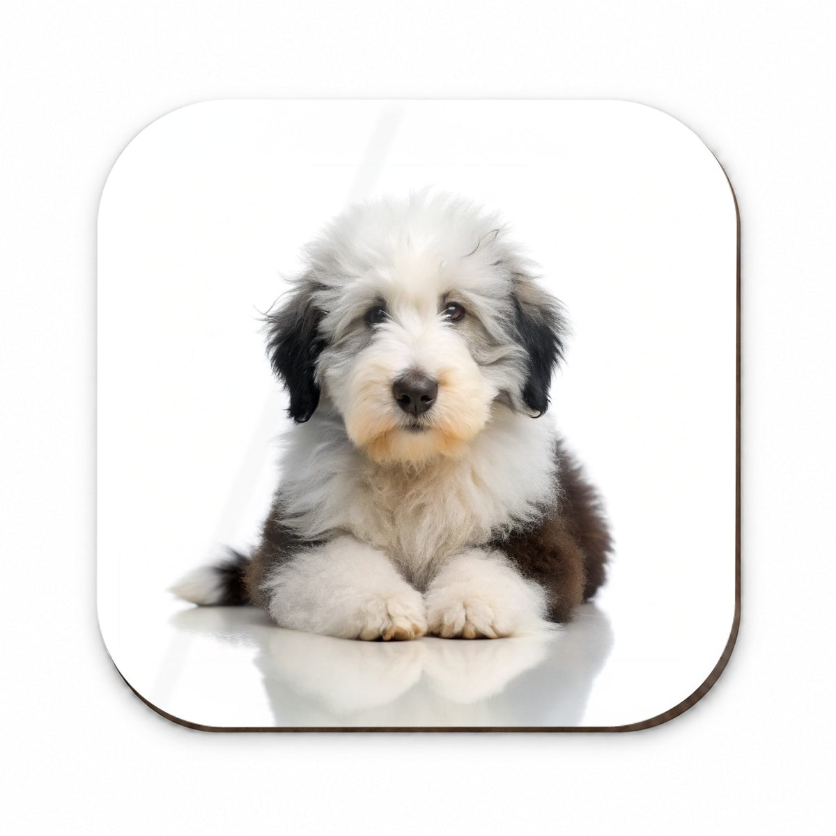 Old English Sheepdog Dog Puppy Photo Fridge Magnet