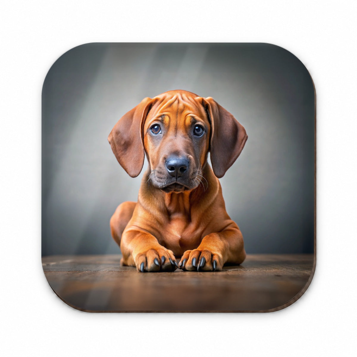 Rhodesian Ridgeback Dog Puppy Photo Fridge Magnet