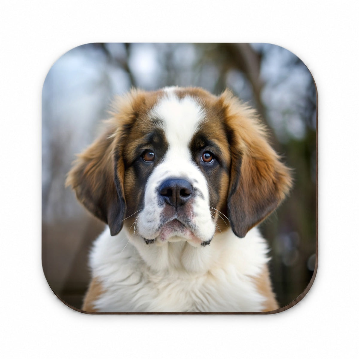 Saint Bernard Dog Puppy Photo Fridge Magnet