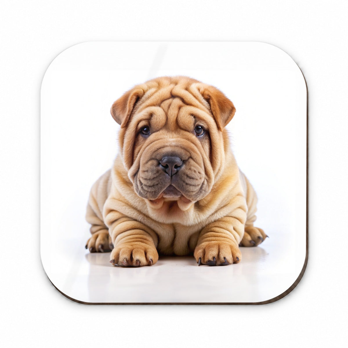 Shar Pei Dog Puppy Photo Fridge Magnet