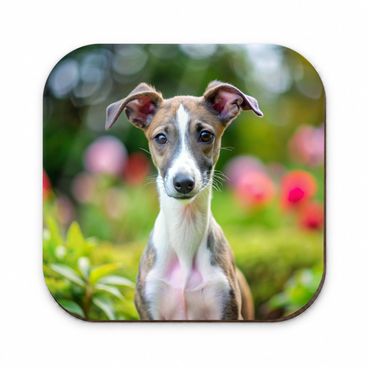 Whippet Dog Puppy Photo Fridge Magnet