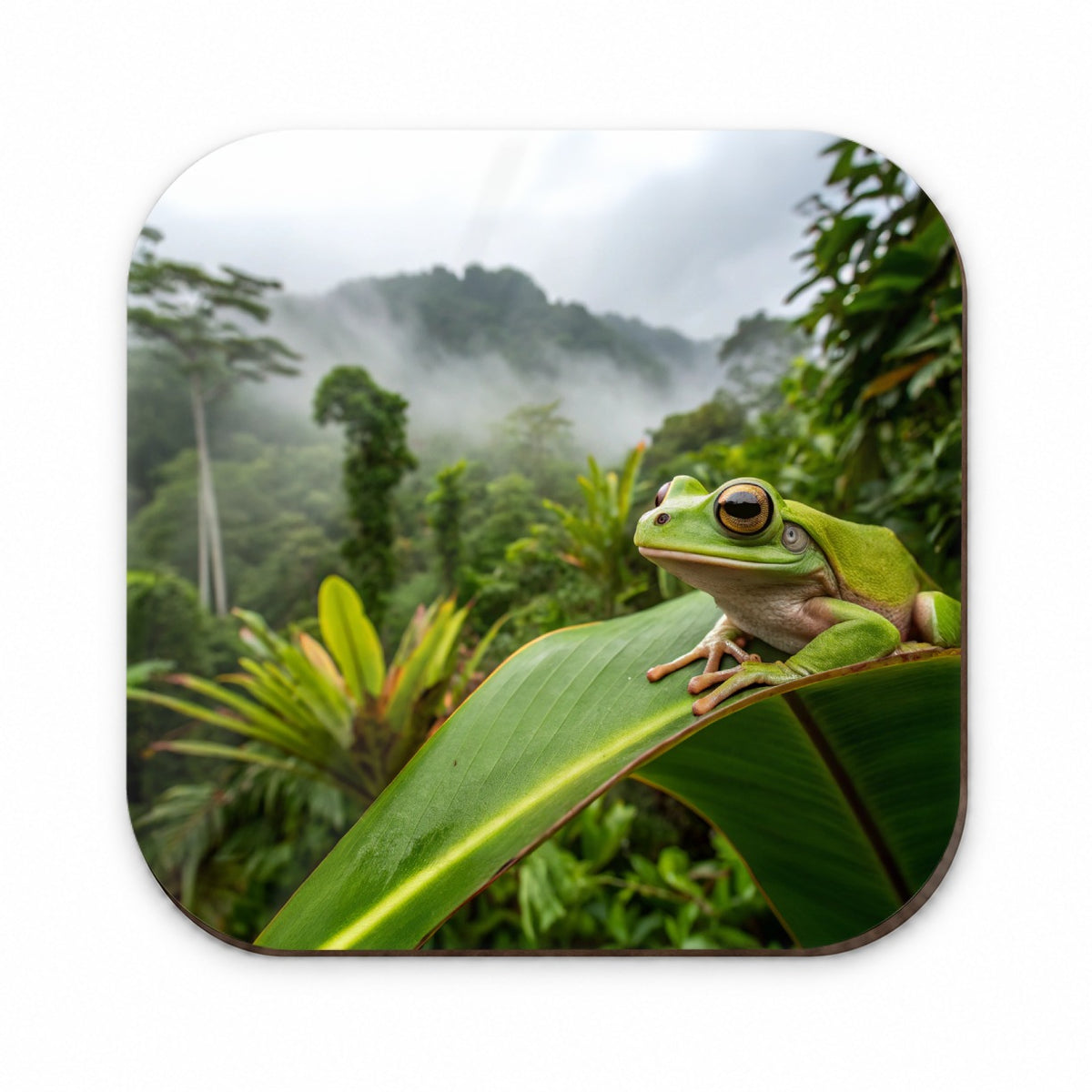 Puerto Rico Frog On Leaf Fridge Magnet