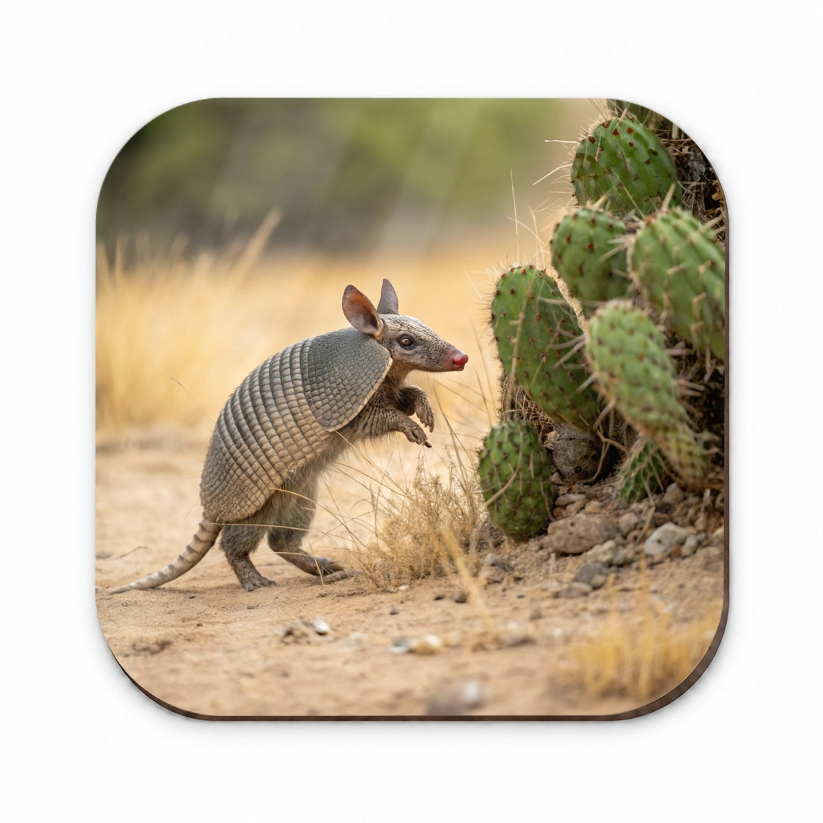 Armadillo In Desert Fridge Magnet