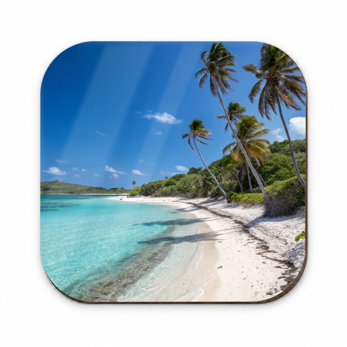 Aruba Tropical Beach Vacation Fridge Magnet