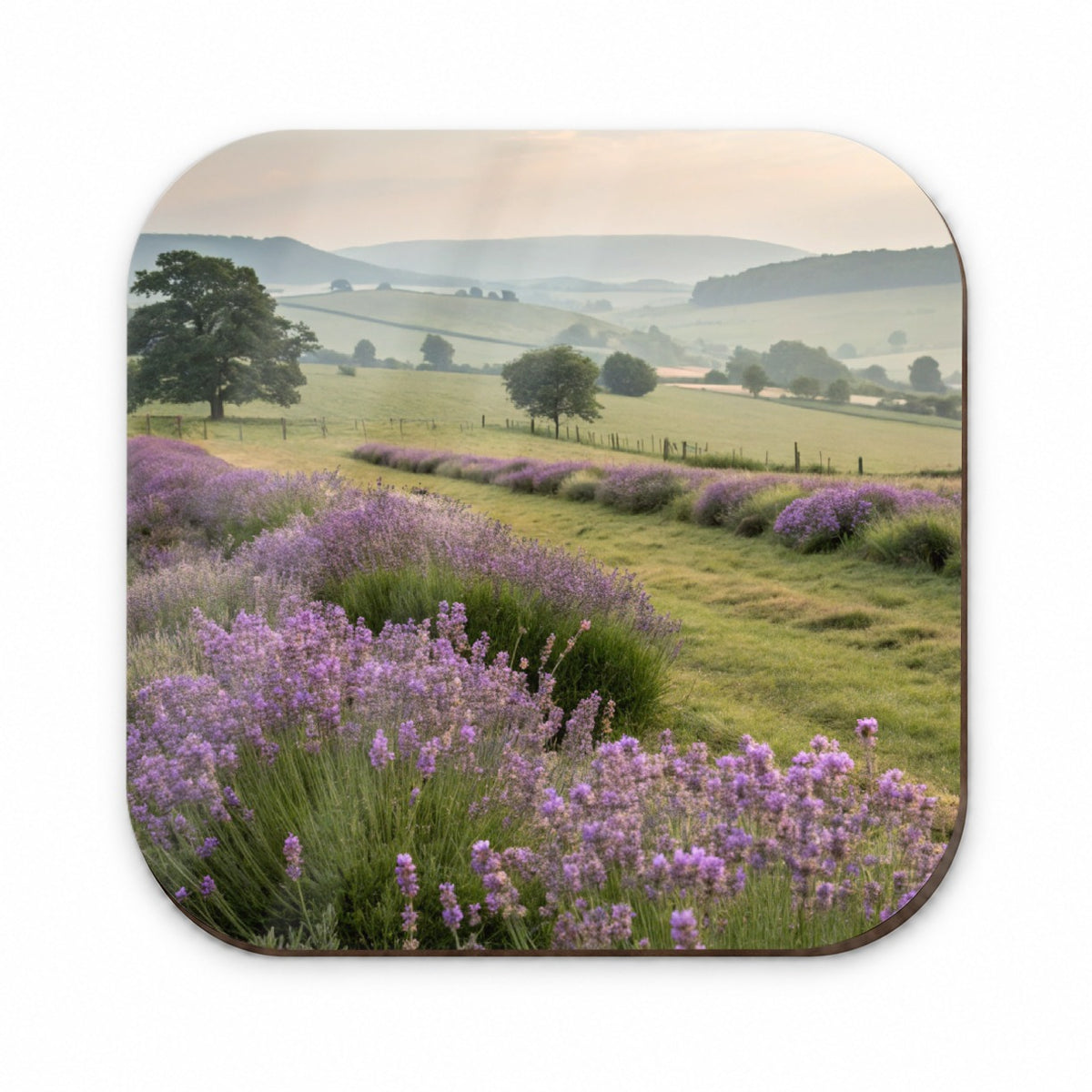 Lavender Flowers Field Fridge Magnet