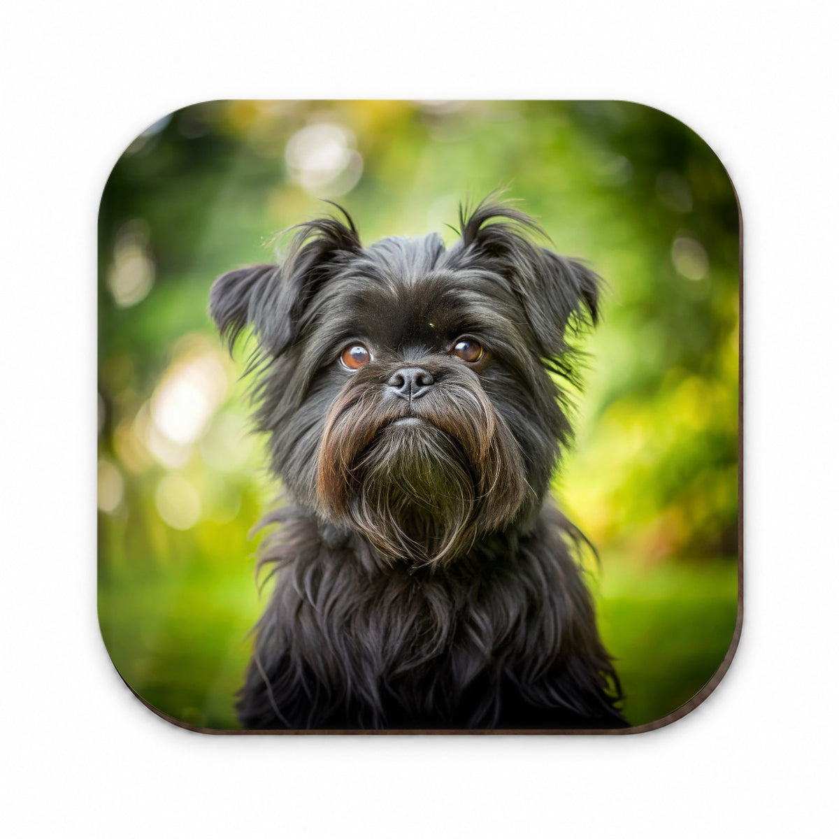 Affenpinscher Dog Photo Fridge Magnet