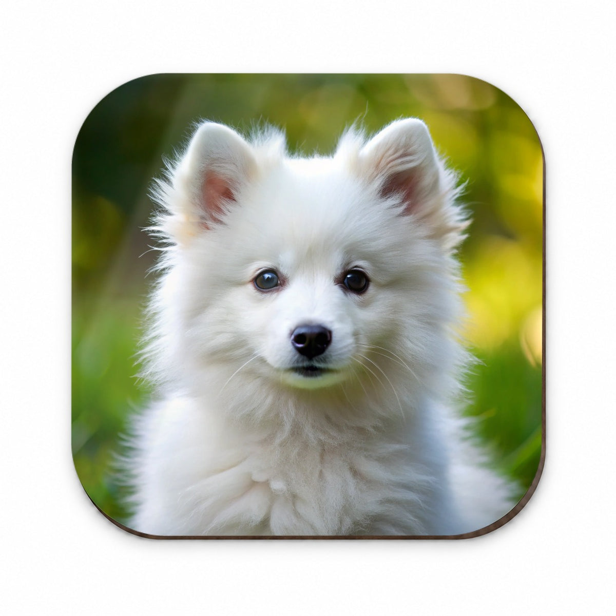 American Eskimo Dog Puppy Photo Fridge Magnet