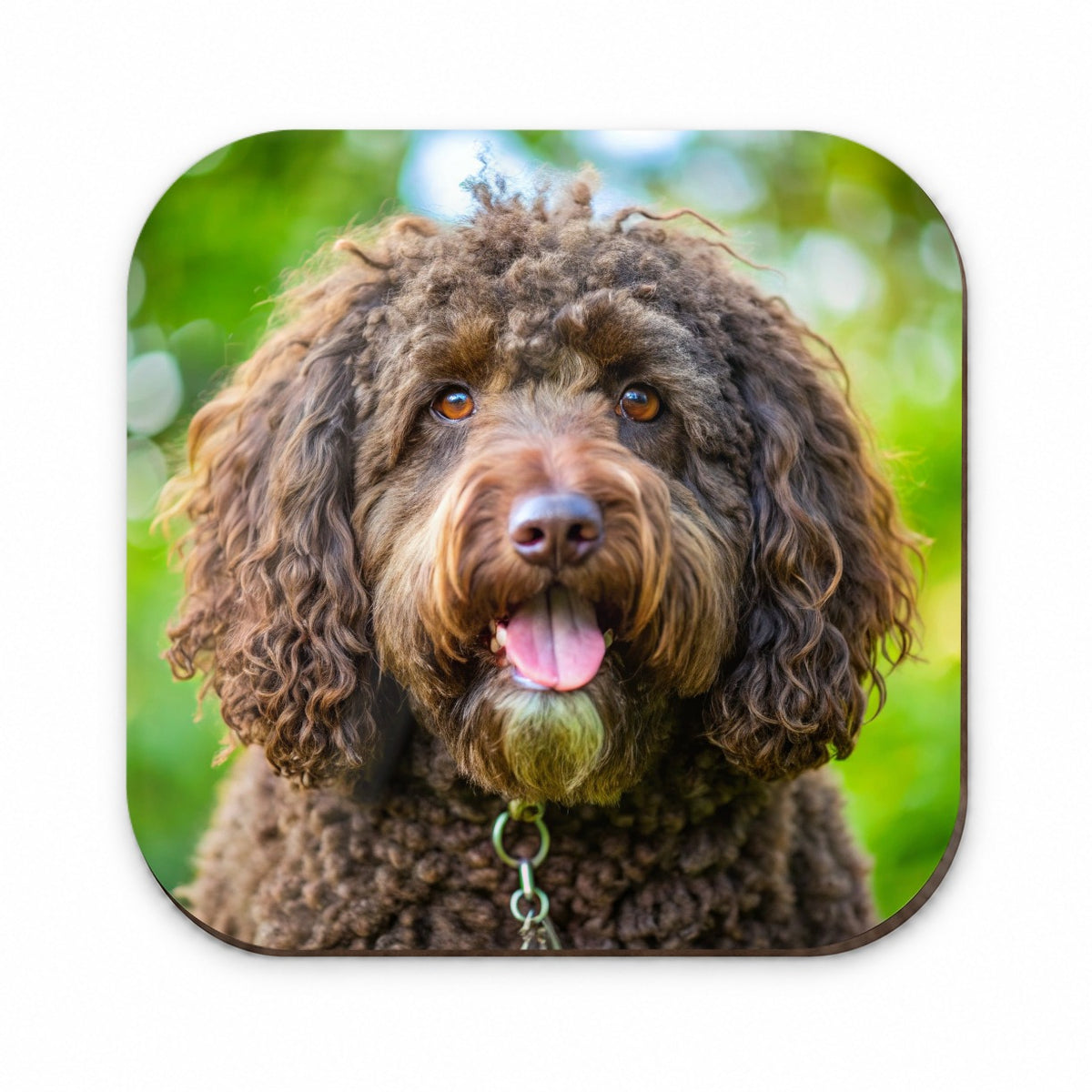 Barbet Dog Photo Fridge Magnet