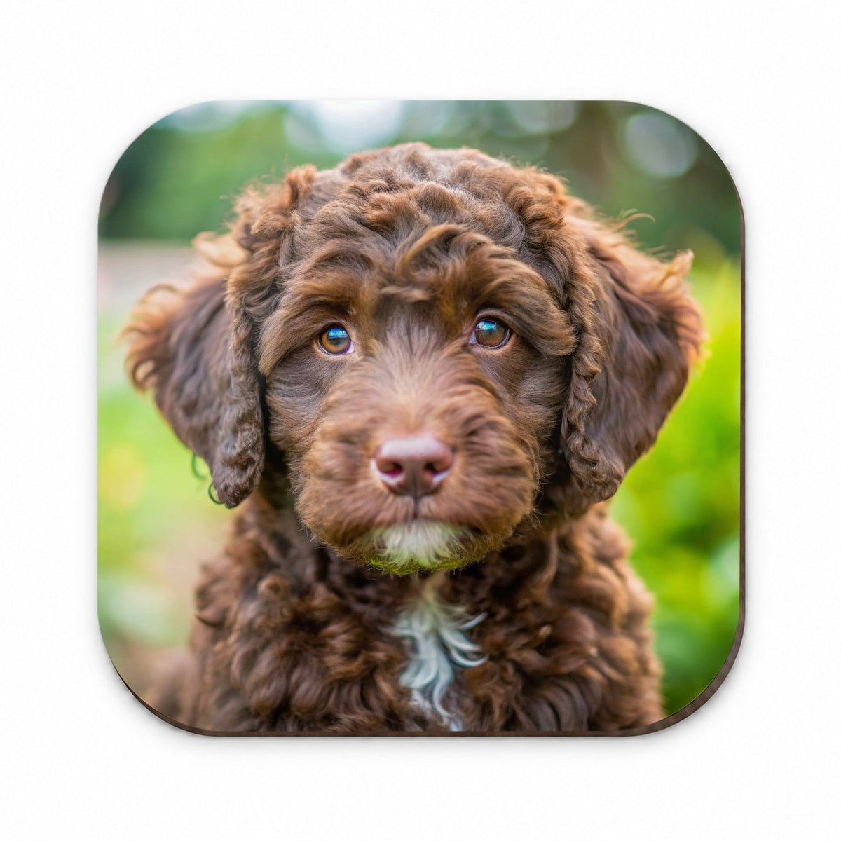 Barbet Dog Puppy Photo Fridge Magnet