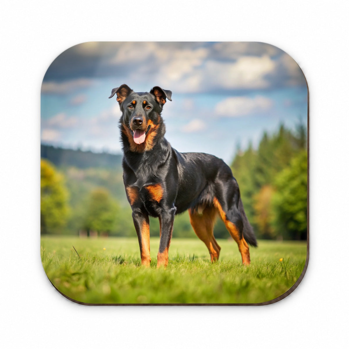 Beauceron Dog Photo Fridge Magnet