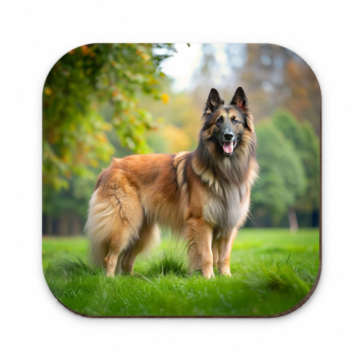 Belgian Tervuren Dog Photo Fridge Magnet