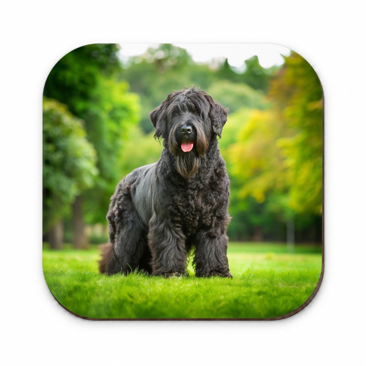 Black Russian Terrier Dog Photo Fridge Magnet