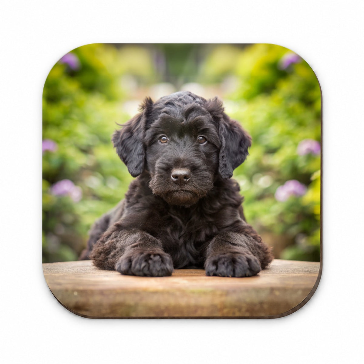 Black Russian Terrier Dog Puppy Photo Fridge Magnet