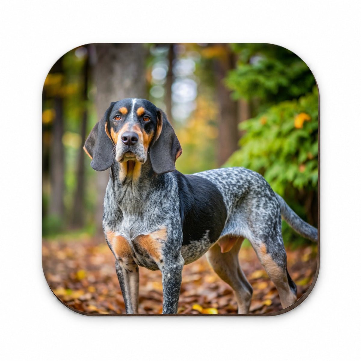 Bluetick Coonhound Dog Photo Fridge Magnet