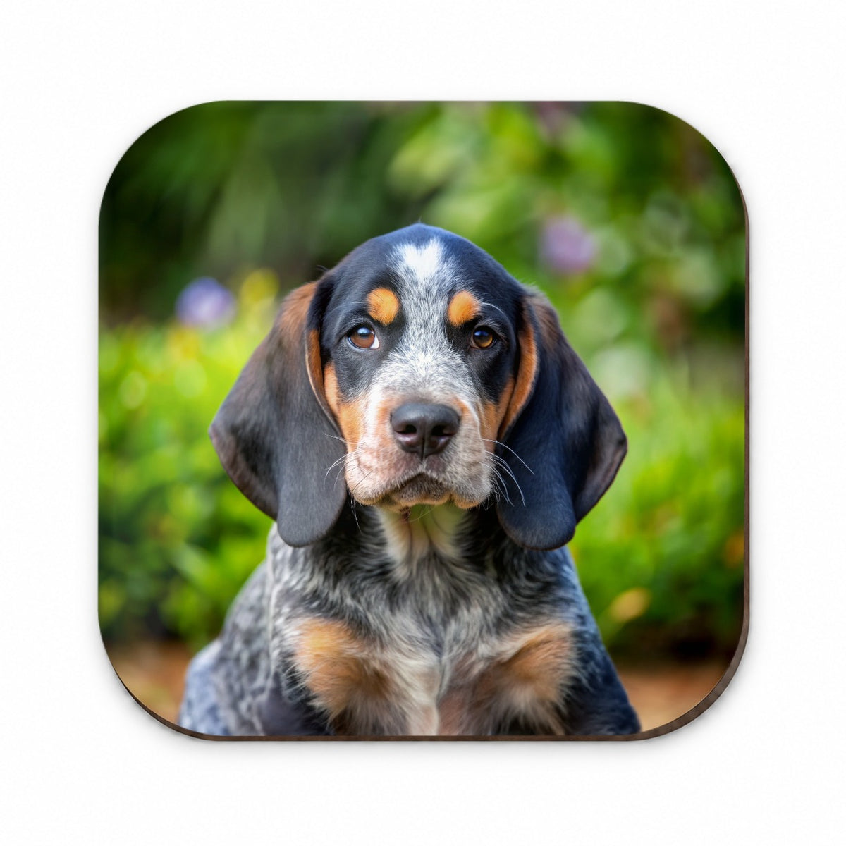 Bluetick Coonhound Dog Puppy Photo Fridge Magnet