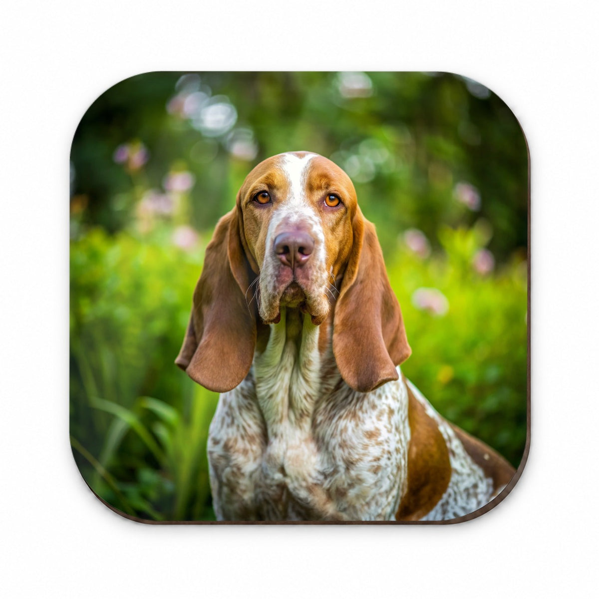 Bracco Italiano Dog Photo Fridge Magnet