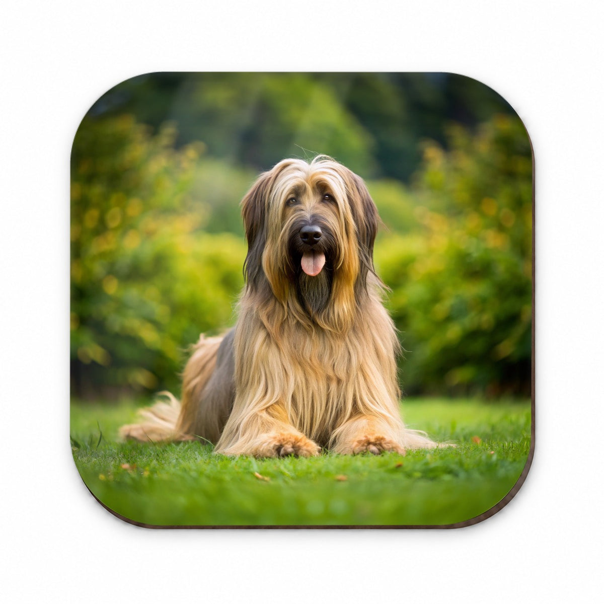 Briard Dog Photo Fridge Magnet