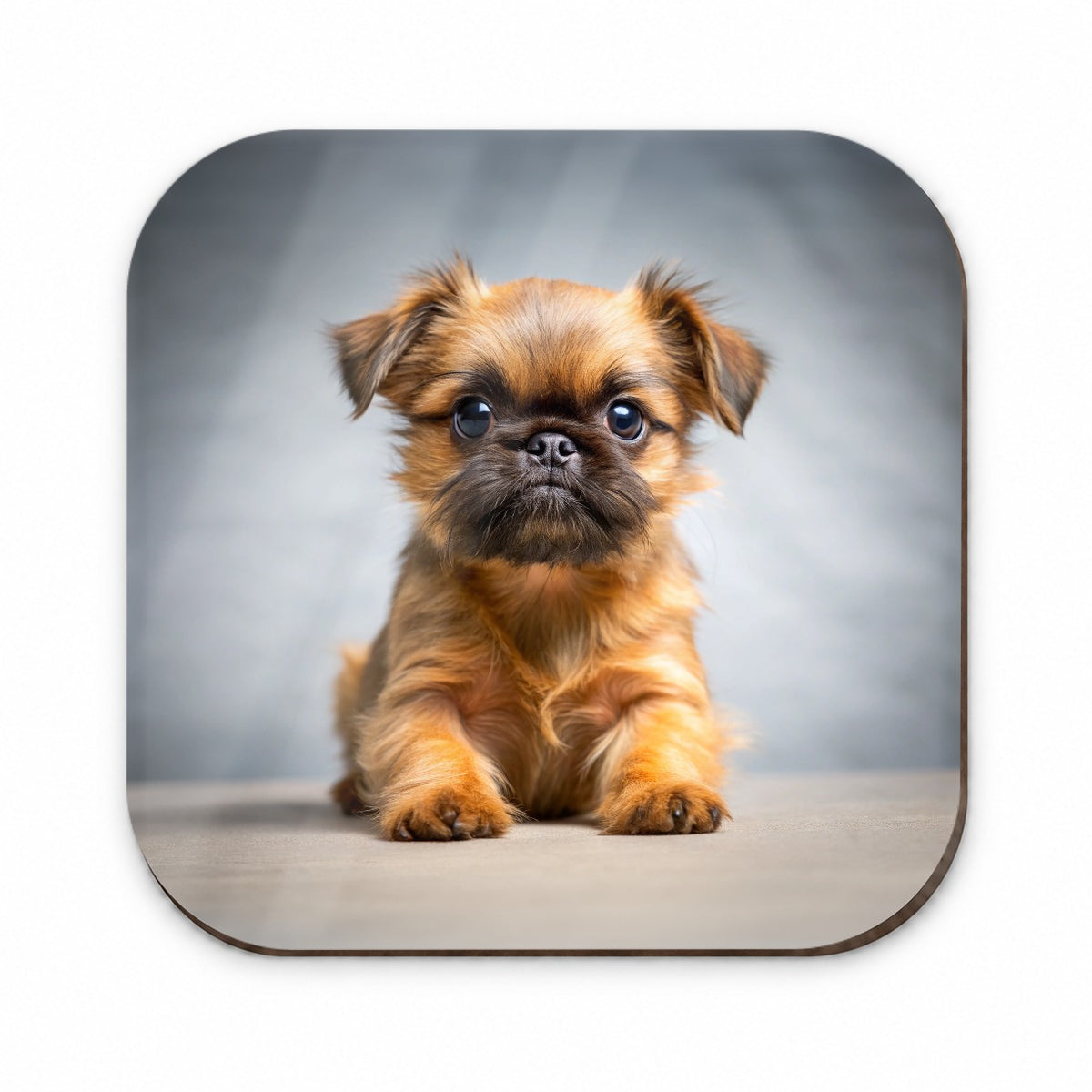 Brussels Griffon Dog Puppy Photo Fridge Magnet