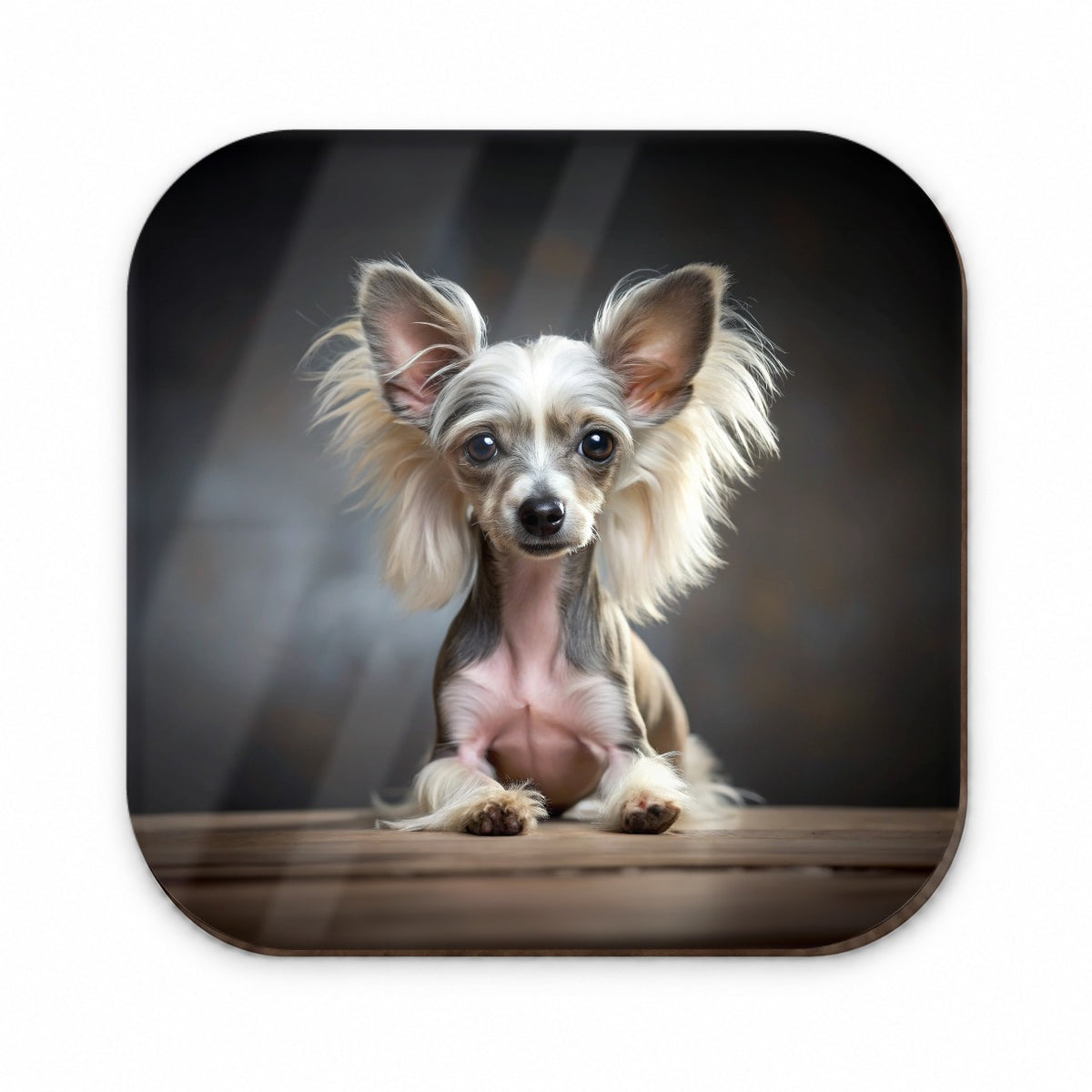 Chinese Crested Dog Puppy Photo Fridge Magnet