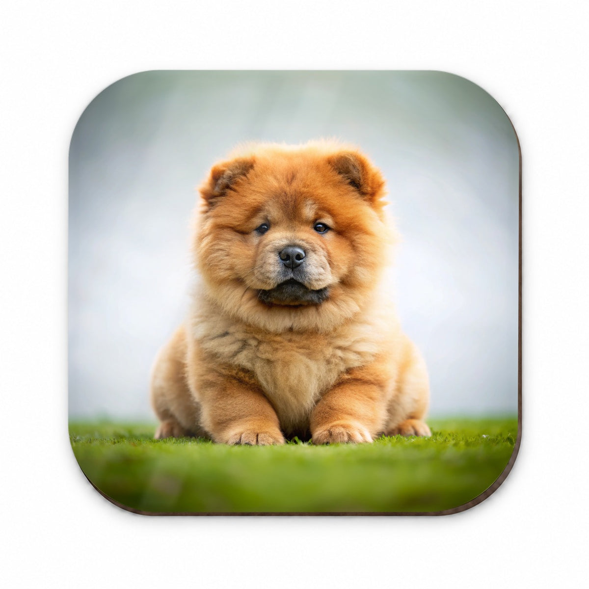 Chow Chow Dog Puppy Photo Fridge Magnet
