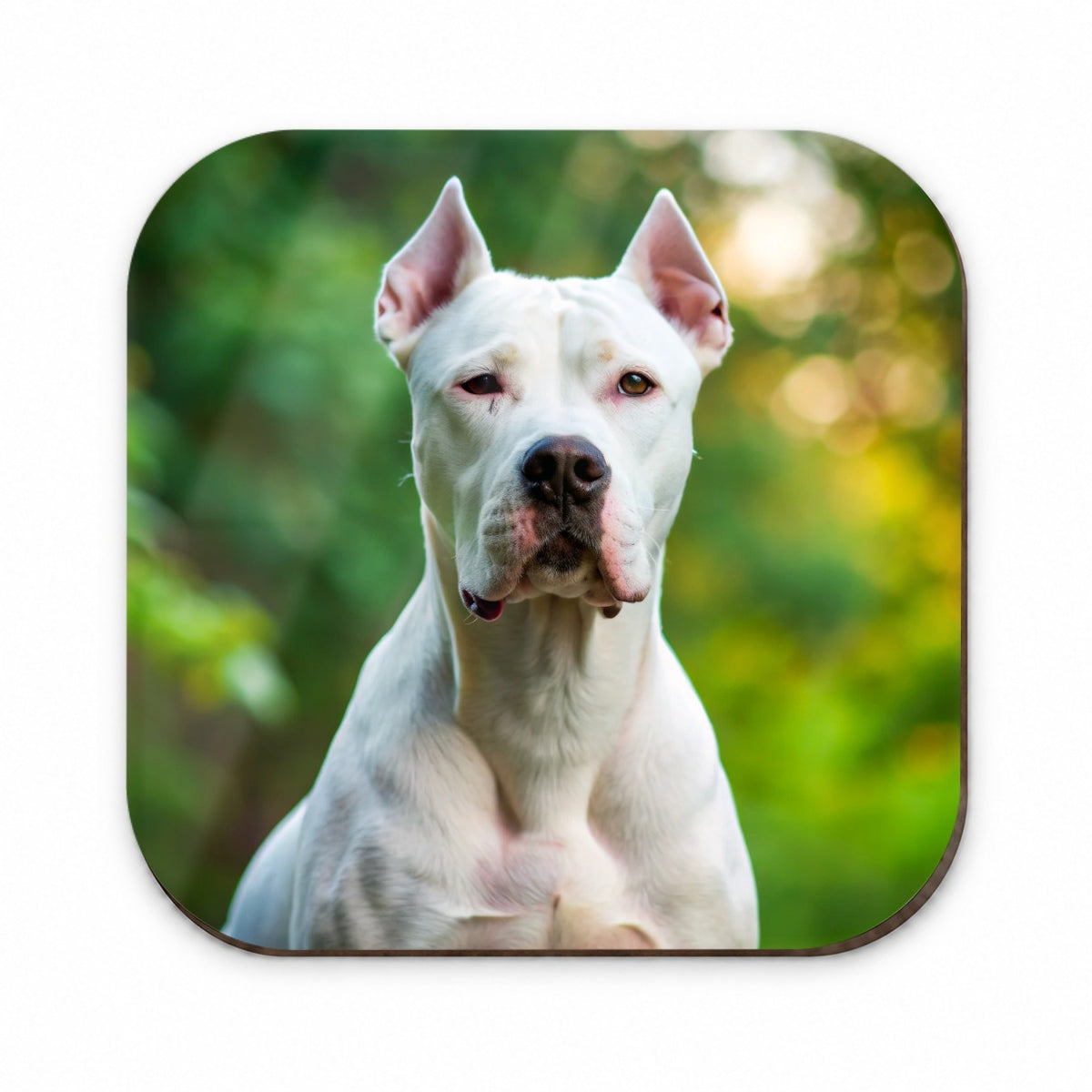 Dogo Argentino Dog Photo Fridge Magnet