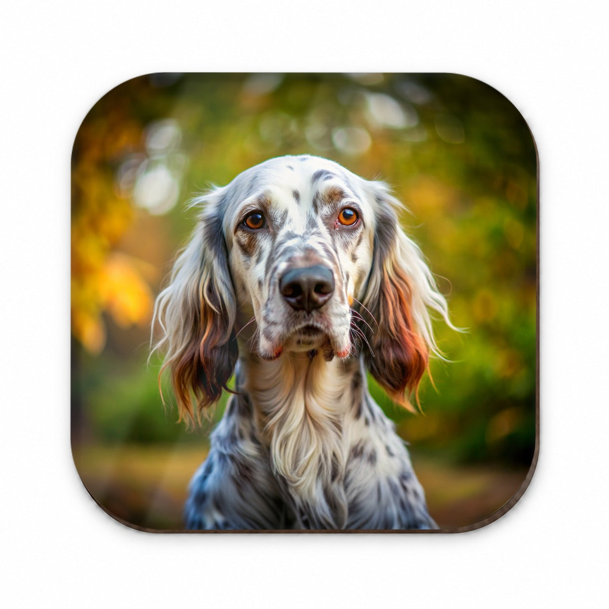English Setter Dog Photo Fridge Magnet