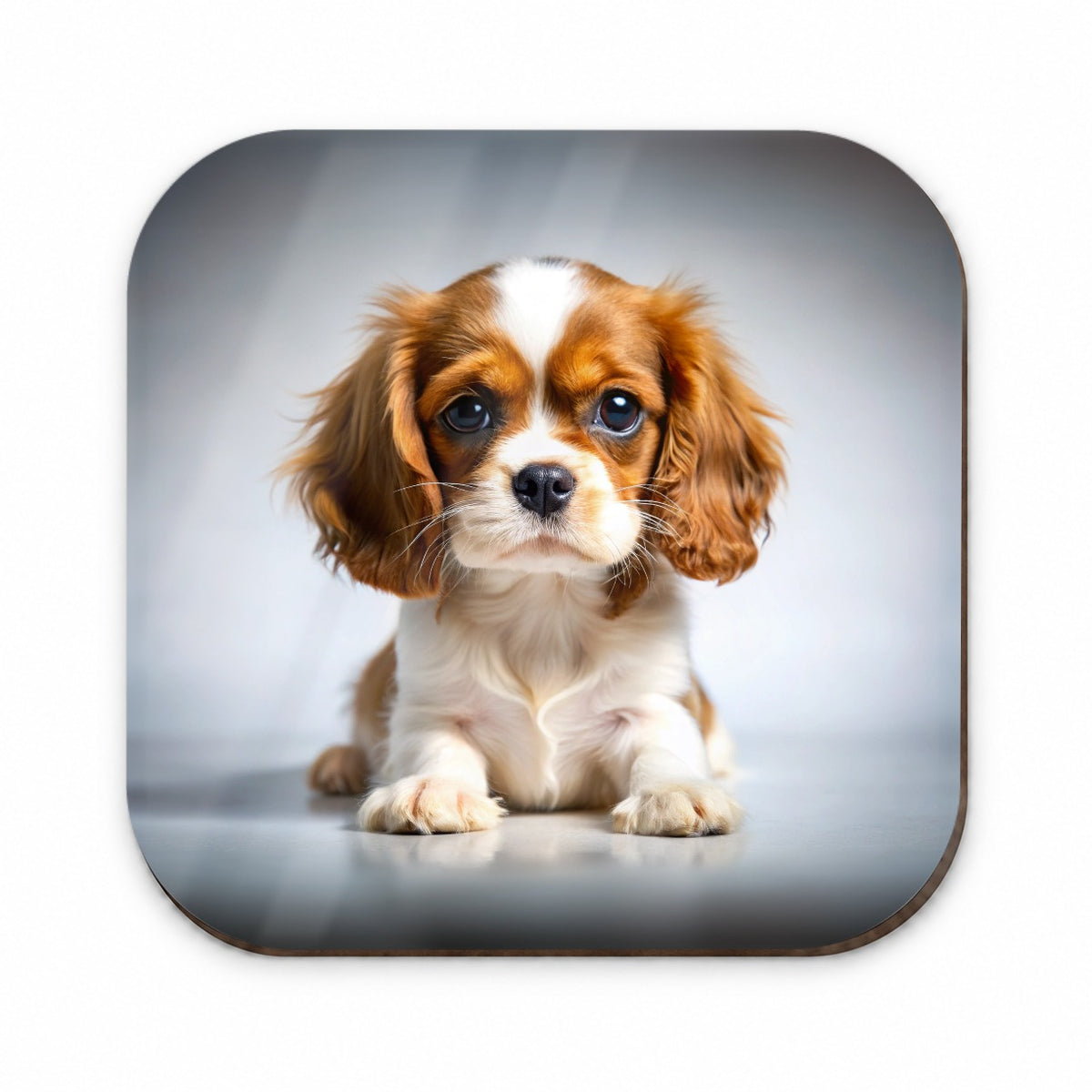 English Toy Spaniel Dog Puppy Photo Fridge Magnet