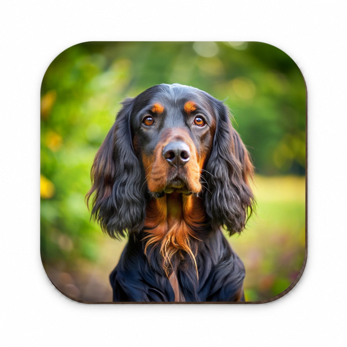 Gordon Setter Dog Photo Fridge Magnet