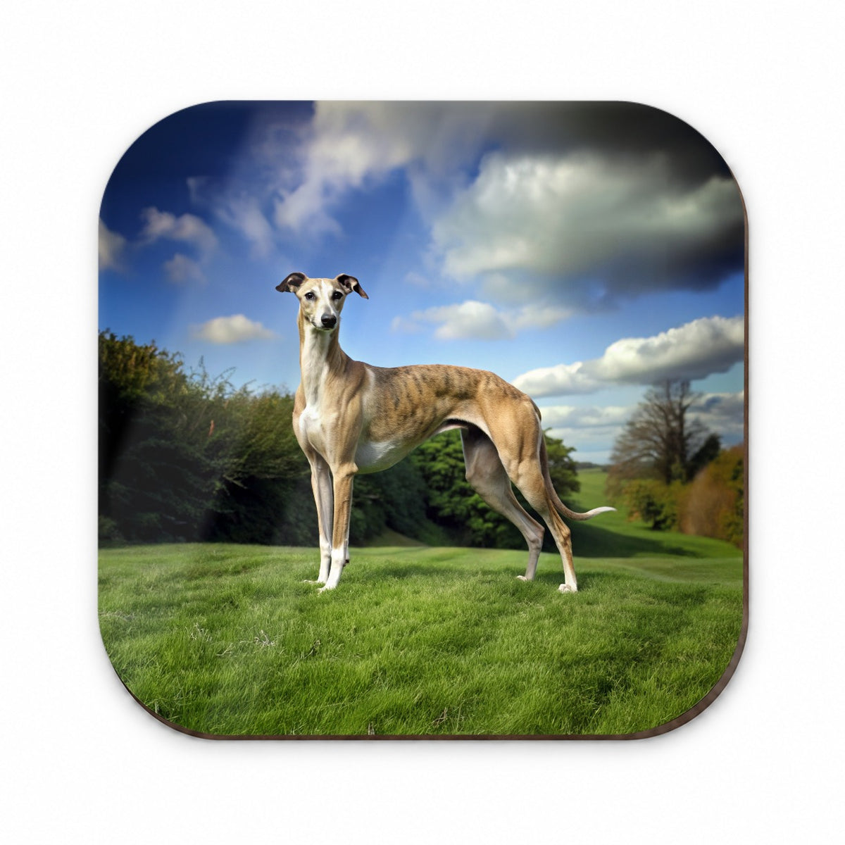Greyhound Dog Photo Fridge Magnet