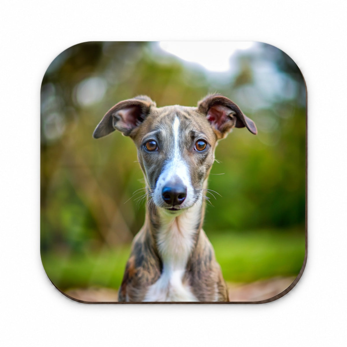 Greyhound Dog Puppy Photo Fridge Magnet